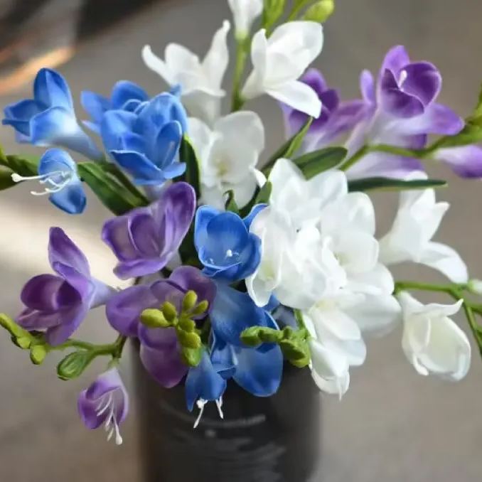 Premium Freesia Bulbs