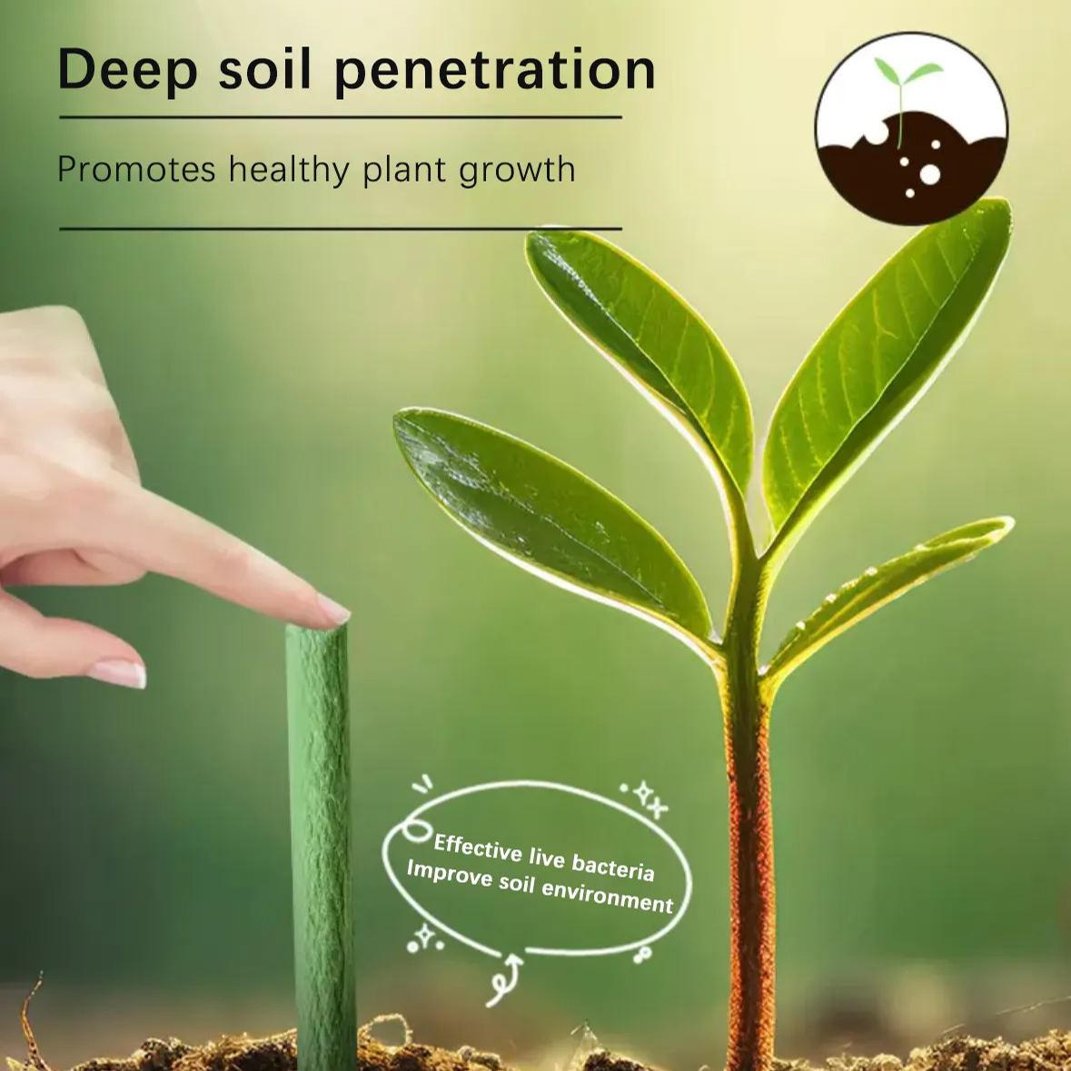 RSU Plant Food Spikes - Universal Type