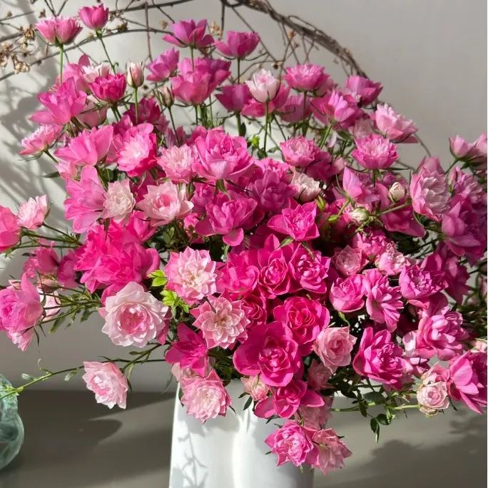 🌸Lotus Star Rose Seeds-Blooming All Year, Bringing Continuous Good Fortune🌸