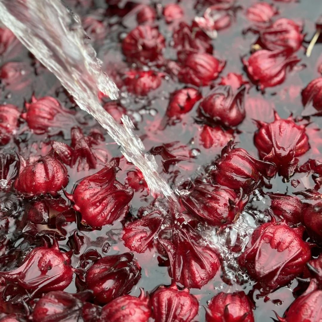 Roselle Hibiscus Seeds, Hibiscus Sabdariffa Seeds
