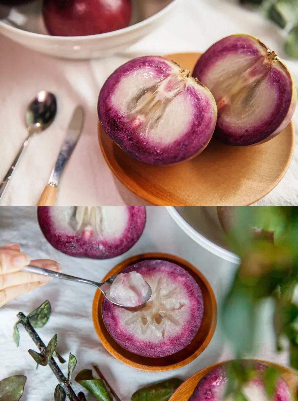 Cherimoya Fruit ( Star Apple / Milk Fruit ) Tree Seeds