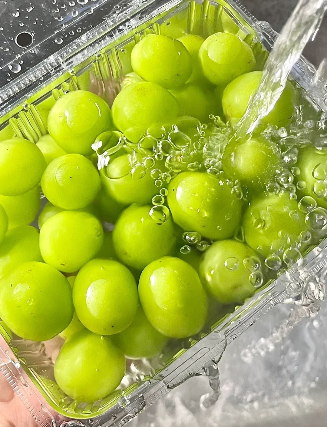 🍇Shine Muscat Grape Seeds