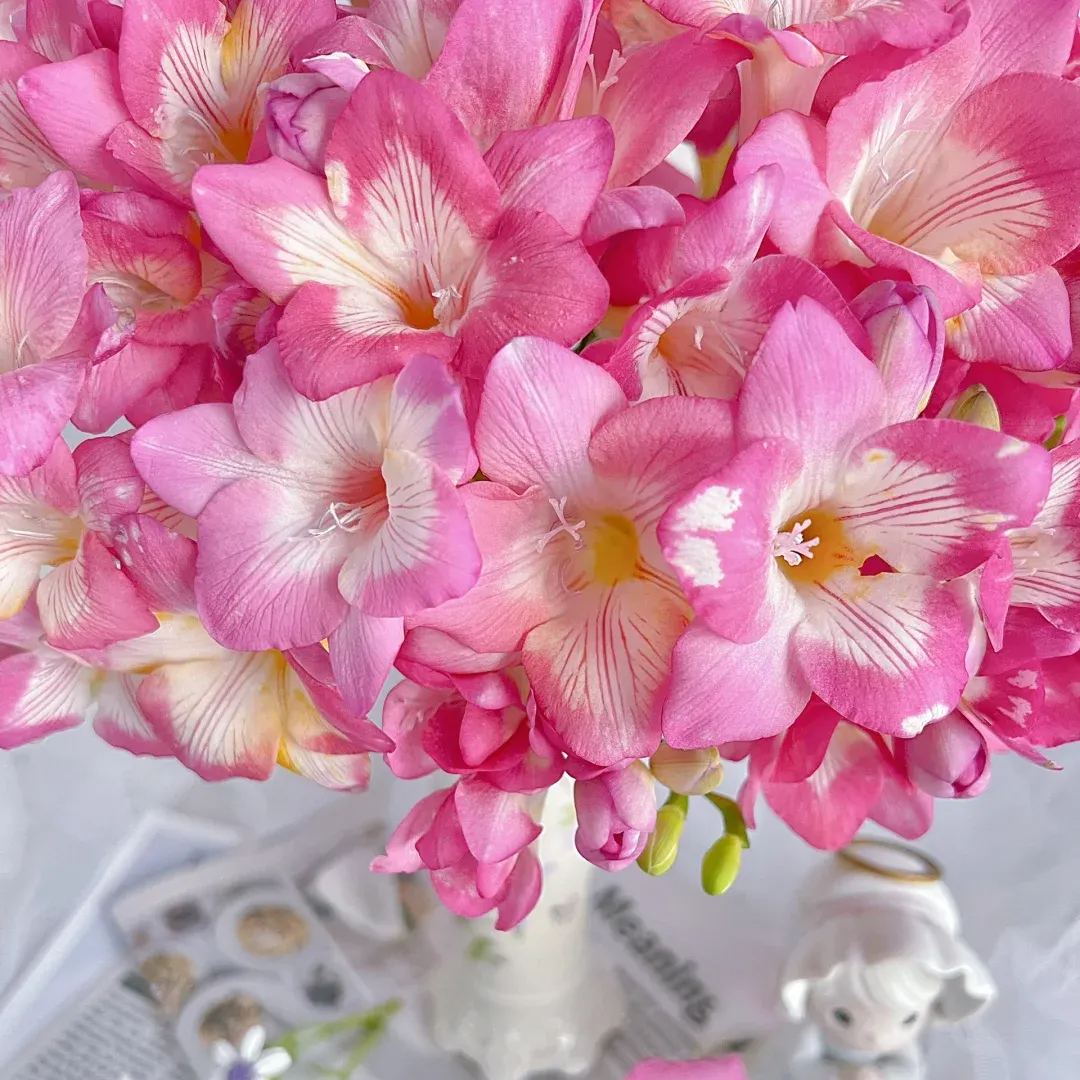 Freesia Bulbs-A Burst of Color & Fragrance! 🌸