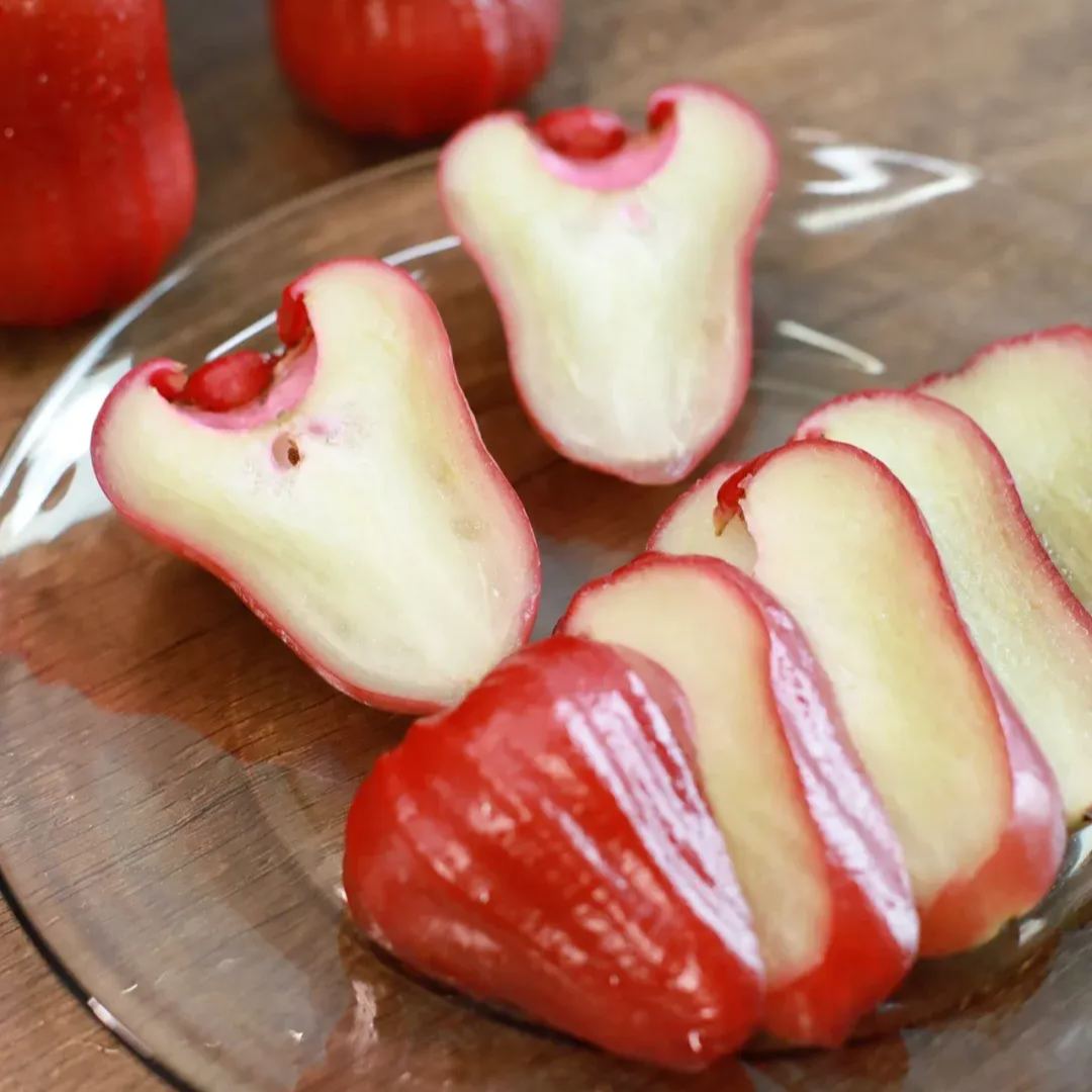 Four-Season Wax Apple Seeds