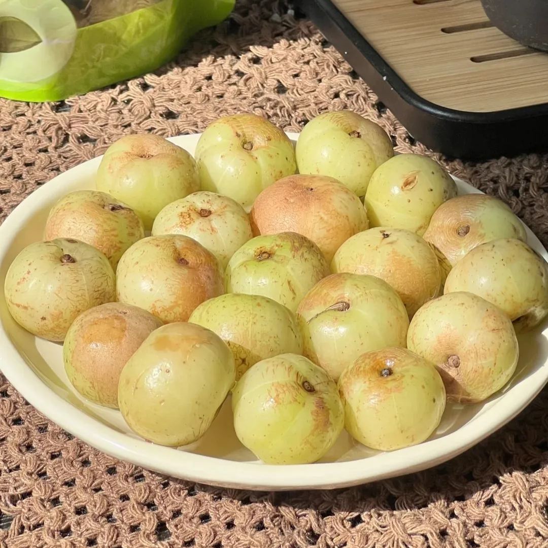 Red-Skinned Phyllanthus emblica