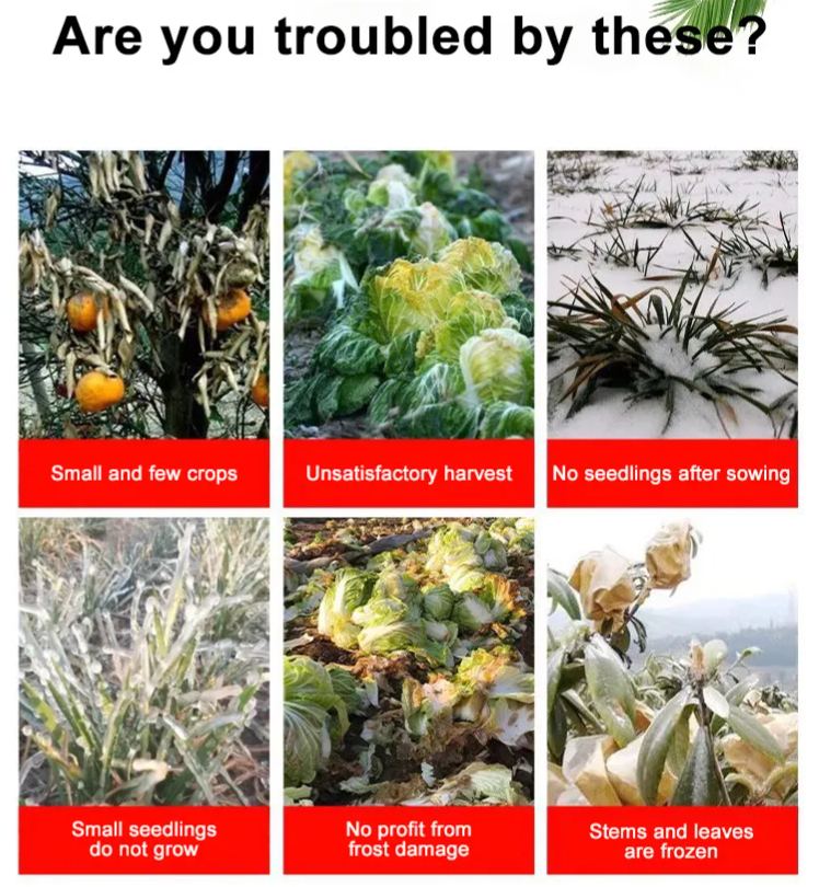 Plant Antifreeze Relieves Frost Damage, Prevents Freezing and Resists Severe Cold