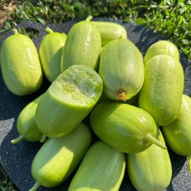🥒Thumb cucumber Seeds