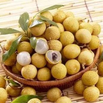Longan / Dragon Eye Fruit Seeds