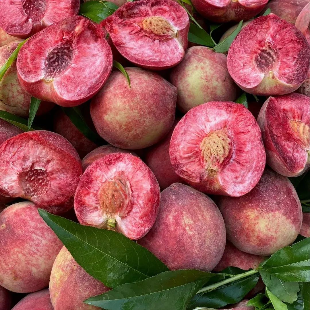 🍑Indian Blood Peach Seeds