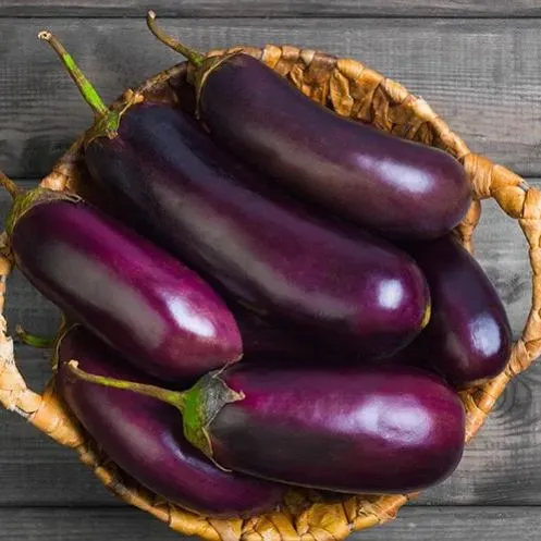 🍆 Green Can Eggplant Seeds – High-Yield, Flavorful & Adaptable