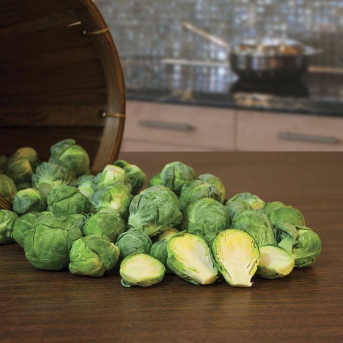 Brussels Sprouts Marte F1