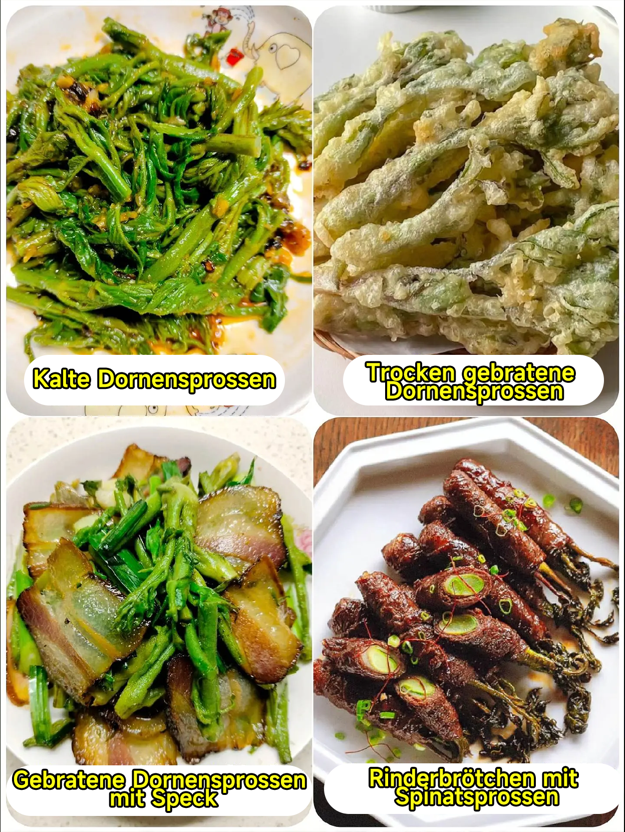 🔥 Stachelige Drachen Sprossensamen - Hochproduktiv und nahrhaft ✨