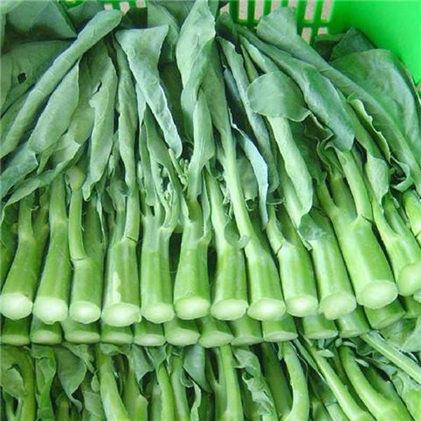 Chinese Kale Seeds-chloriseeds