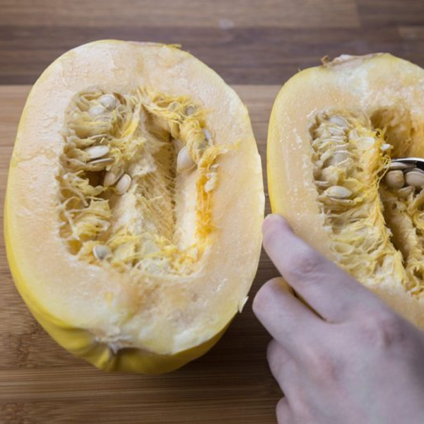 Spaghetti Squash Seeds-chloriseeds