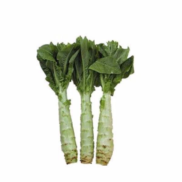 Italian Asparagus lettuce vegetable seeds-chloriseeds
