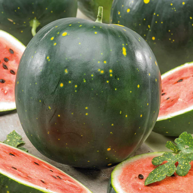 Moon and Stars Watermelon Seeds