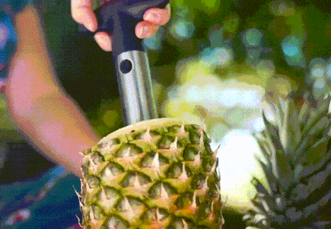 Premium Stainless Steel Pineapple Corer & Slicer Tool