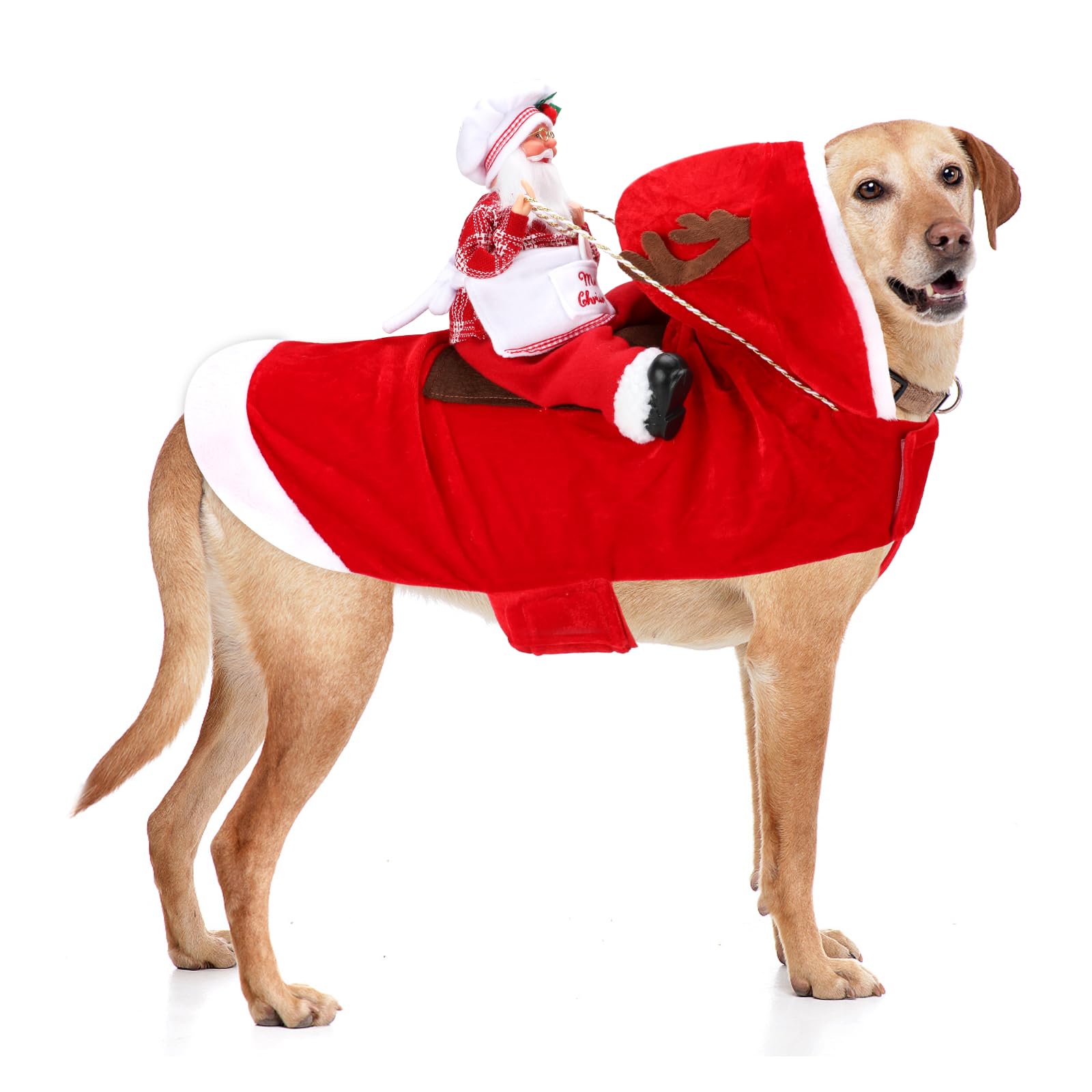 Santa Dog Costume