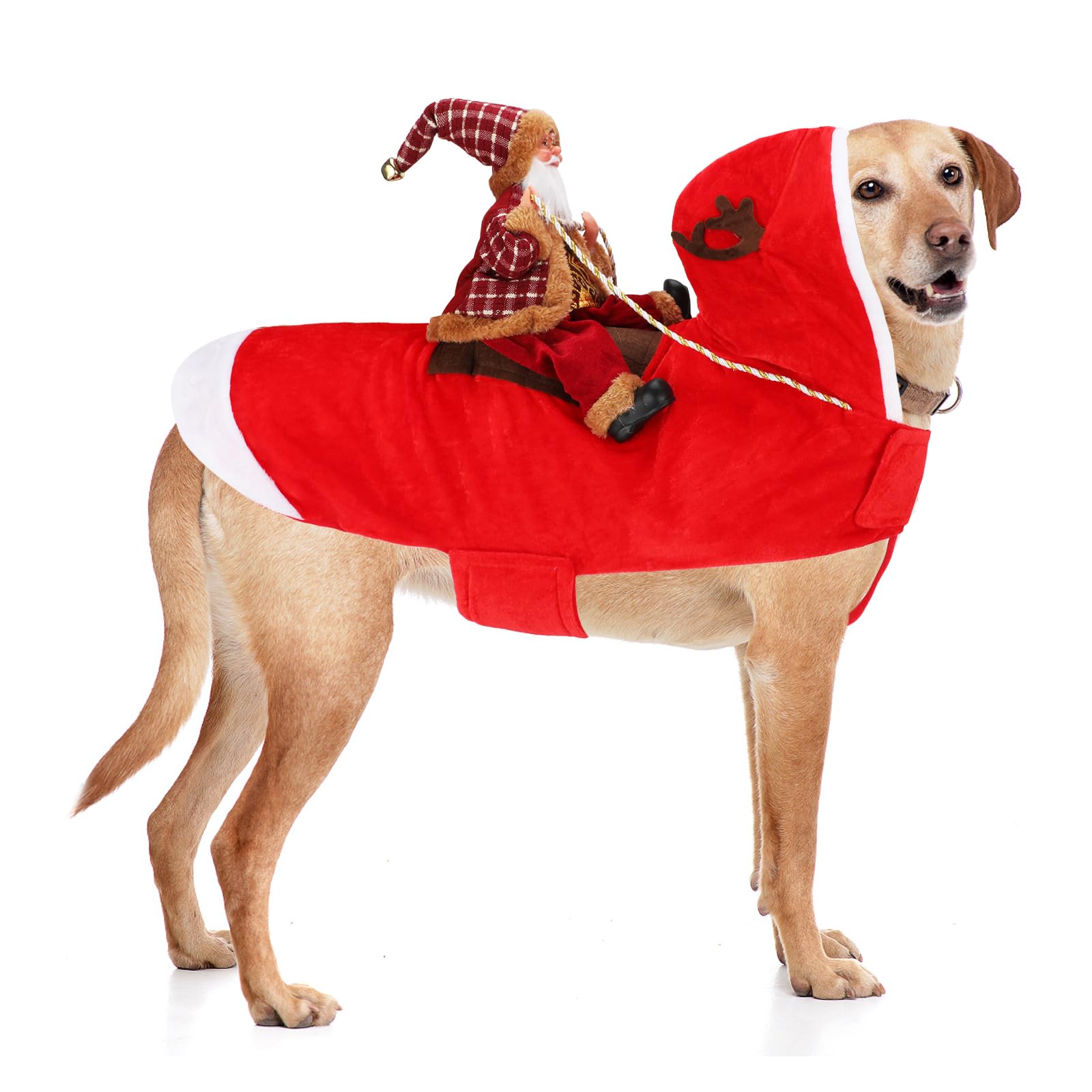 Santa Dog Costume