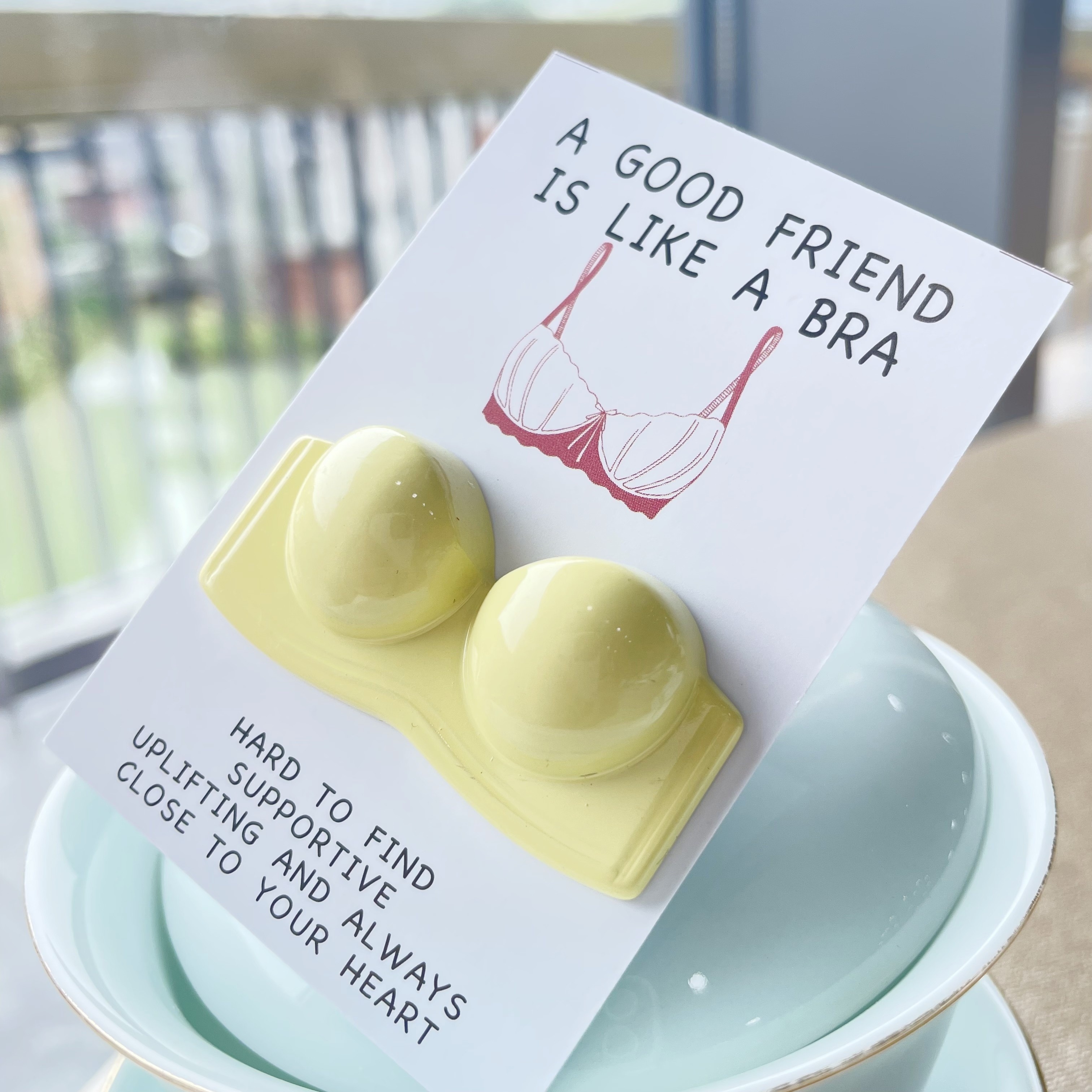 Warm & Uplifting Heartfelt Pocket Hug Card - "A Good Friend is Like a Bra" Message
