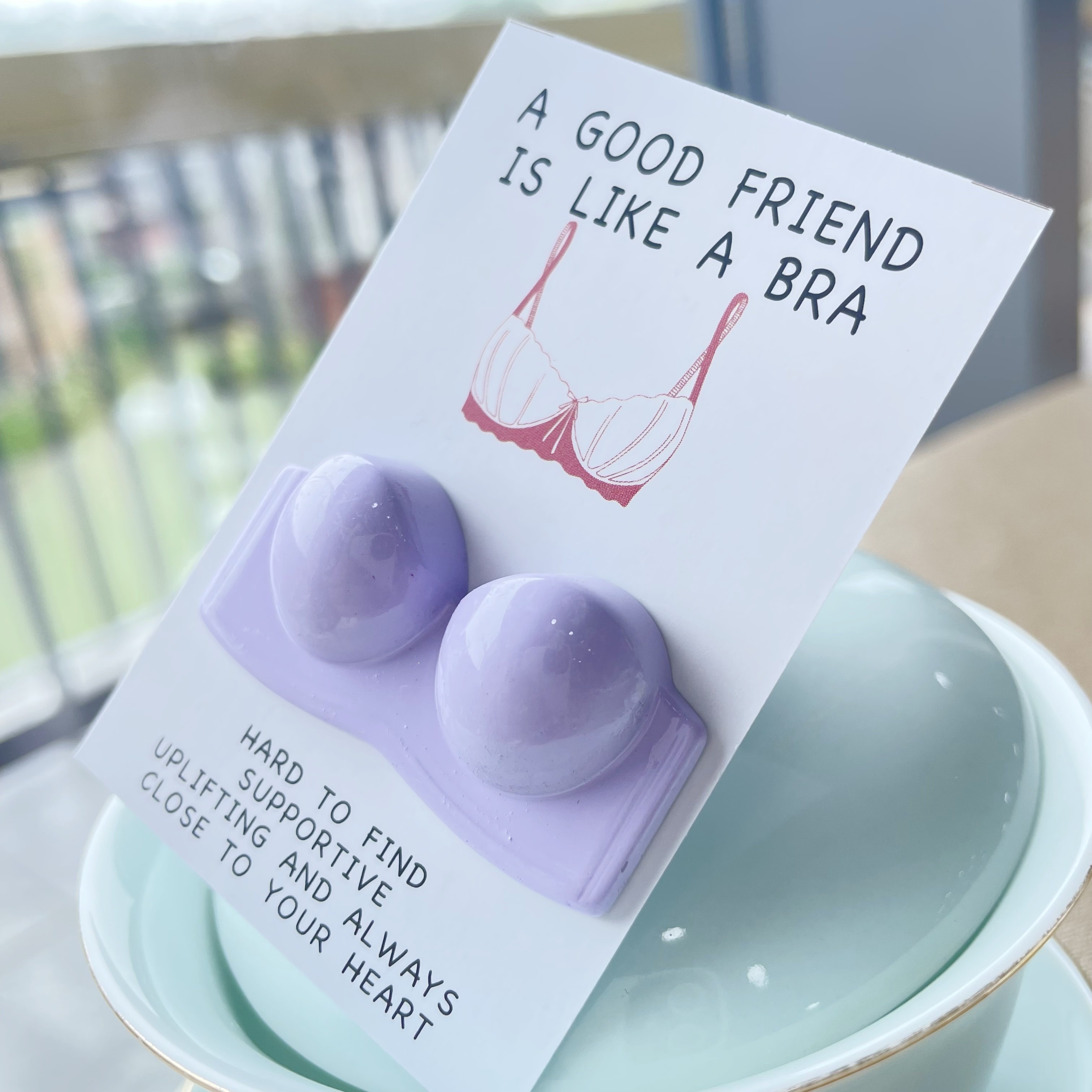 Warm & Uplifting Heartfelt Pocket Hug Card - "A Good Friend is Like a Bra" Message