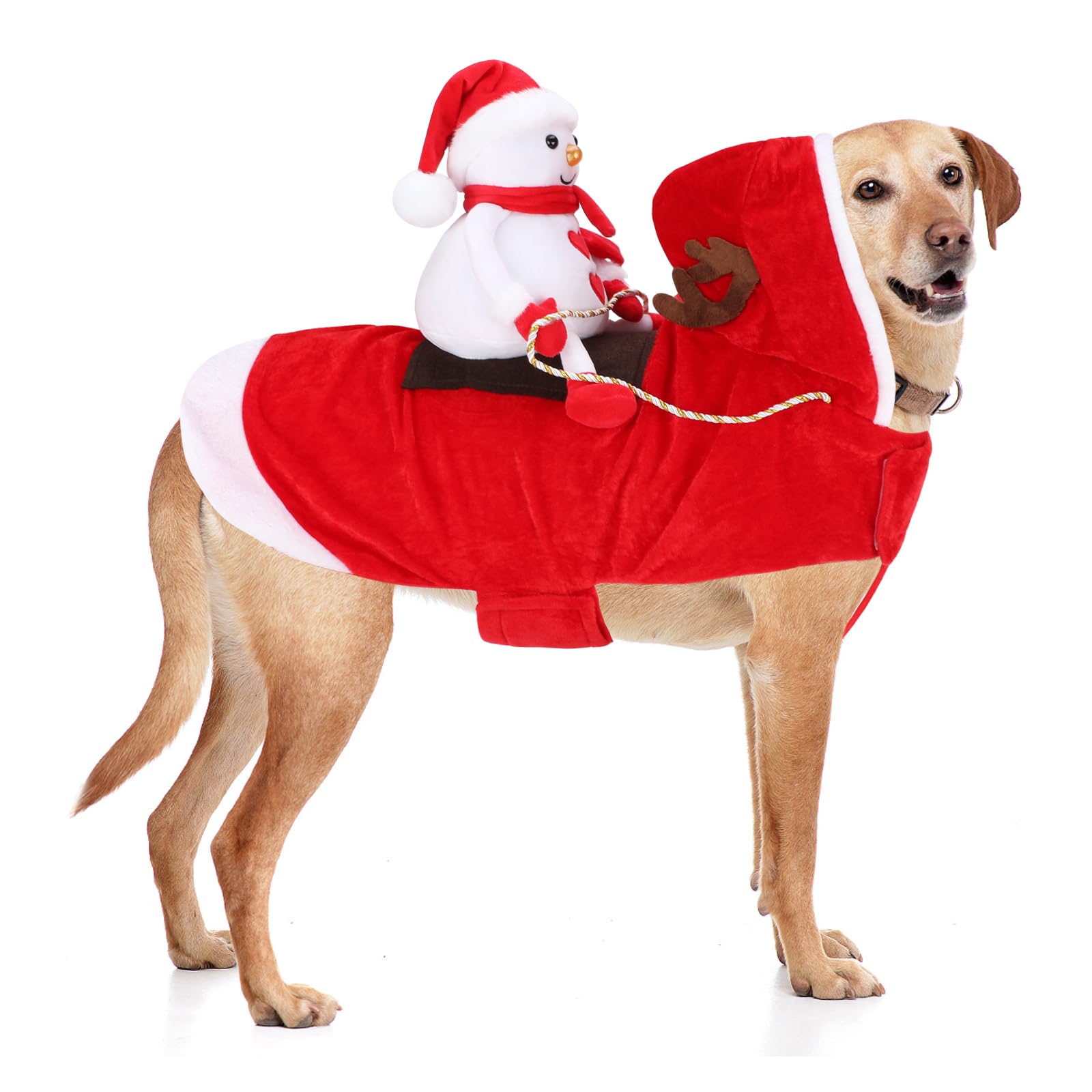 Santa Dog Costume