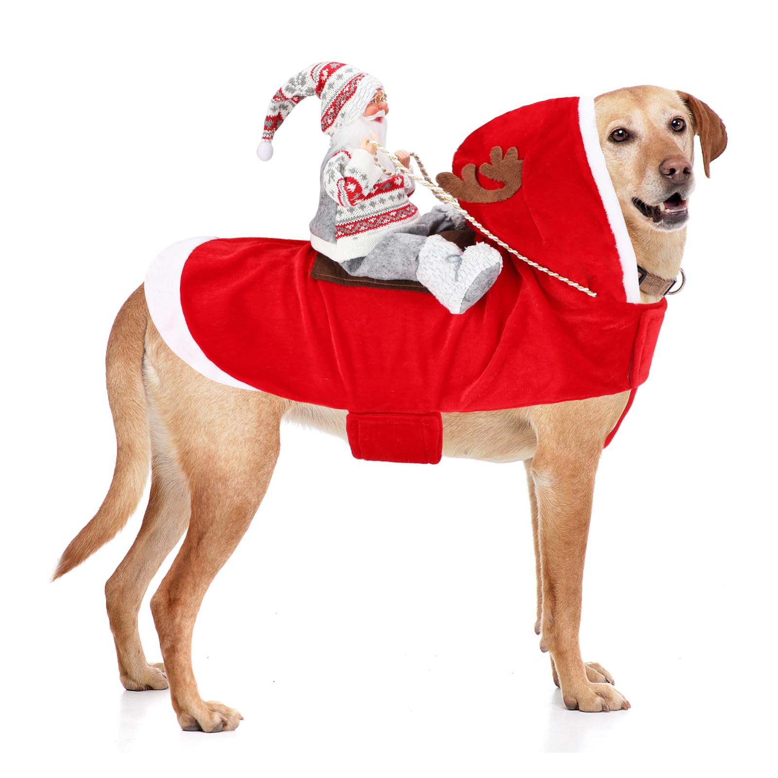 Santa Dog Costume