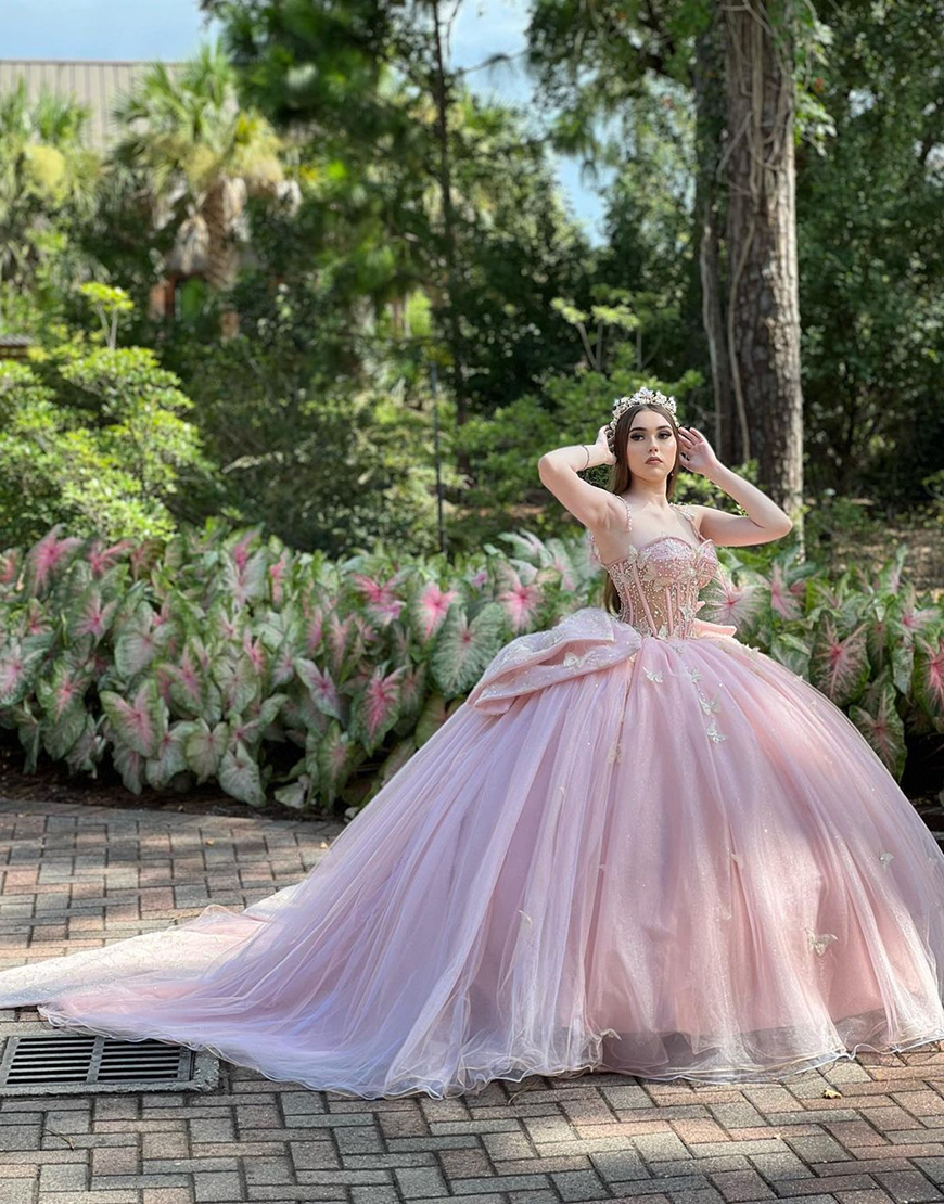 Sparkly Blush Pink Spaghetti Straps Beaded Butterfly Tulle Quinceanera Dress with Bow