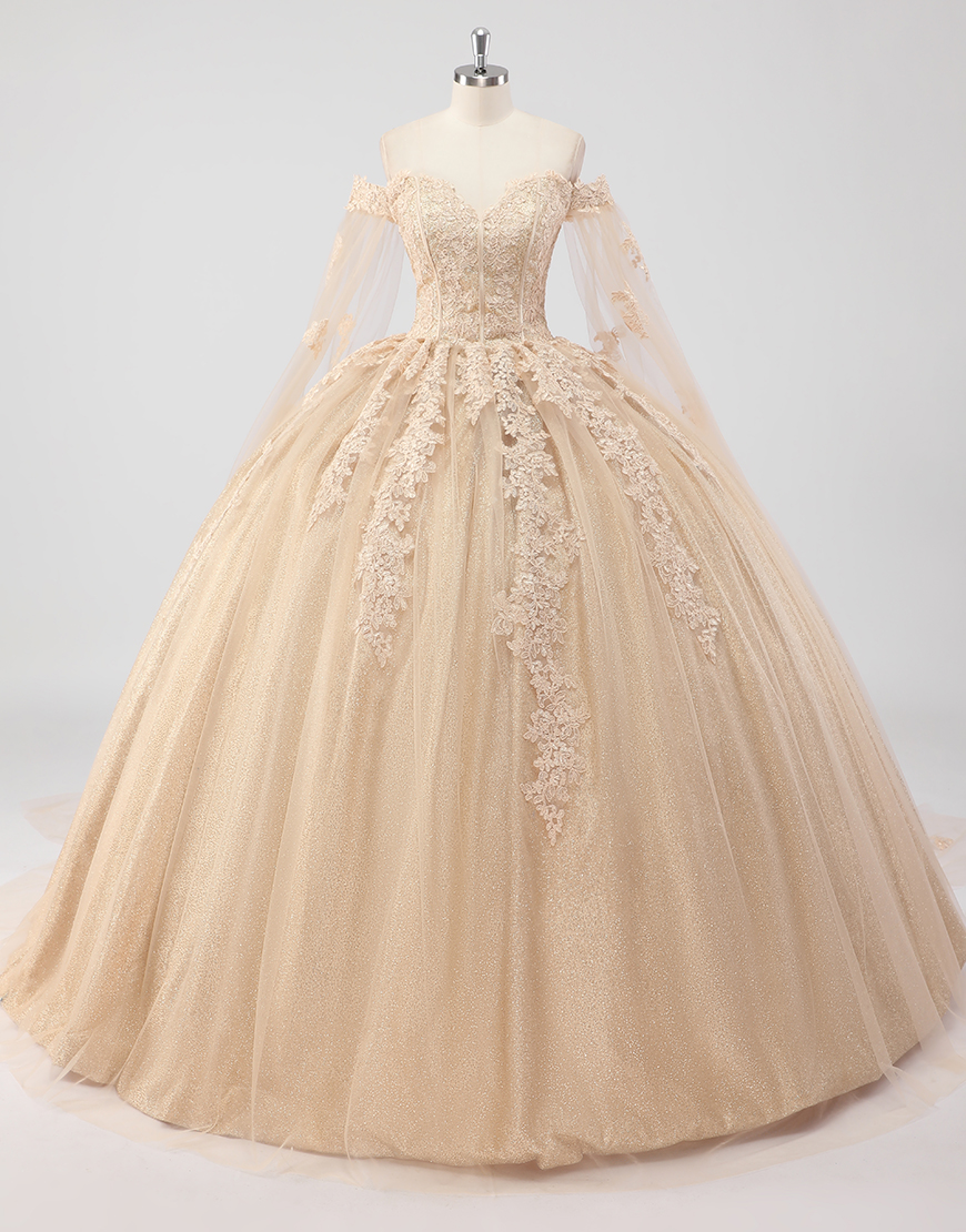 Princess Champagne Off the Shoulder Long Sleeves Tulle Quinceanera Dress with Lace Appliques