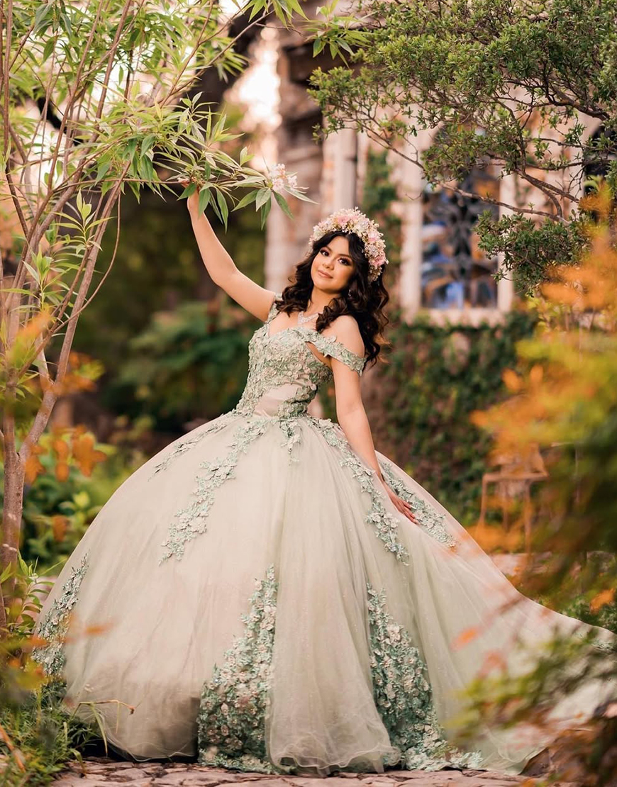 Princess Dusty Sage Off the Shoulder Princess Applique Tulle Quinceanera Dress