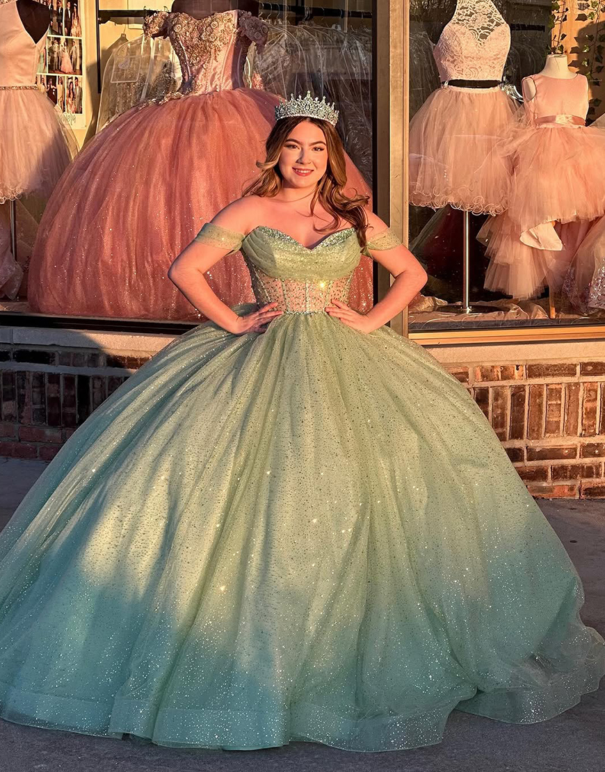 Princess Sage Ball Gown Off the Shoulder Sequins Tulle Quinceanera Dress
