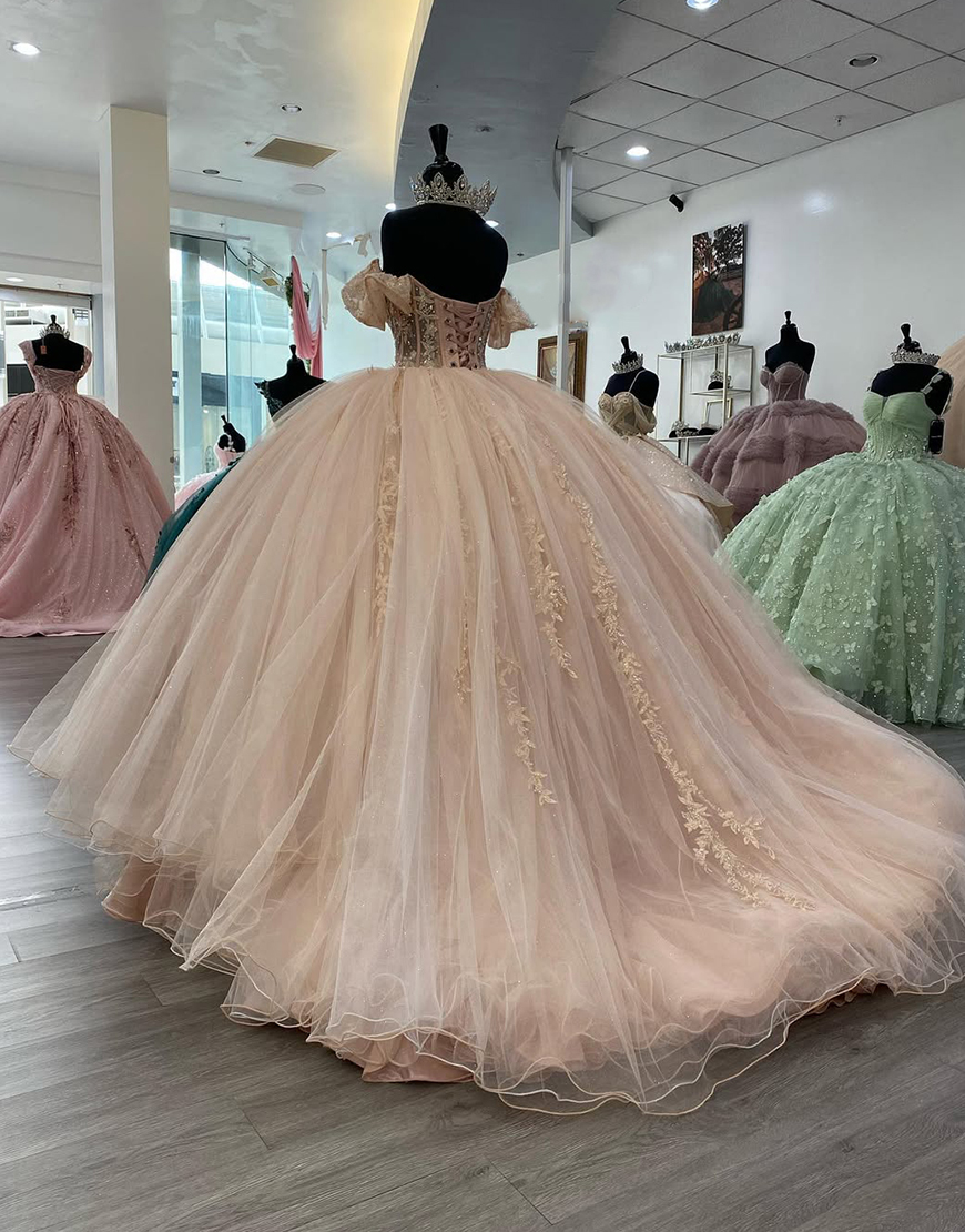 Sparkly Blush Pink Off the Shoulder Tulle Ball Gown Quinceanera Dress with Appliques