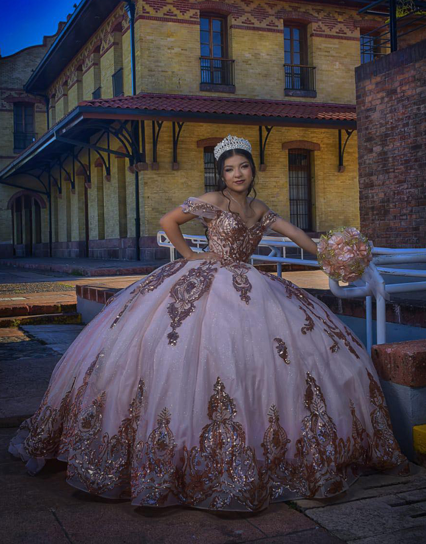 Princess Gold Rose Ball Gown Off the Shoulder Tulle Quinceanera Dress with Appliques