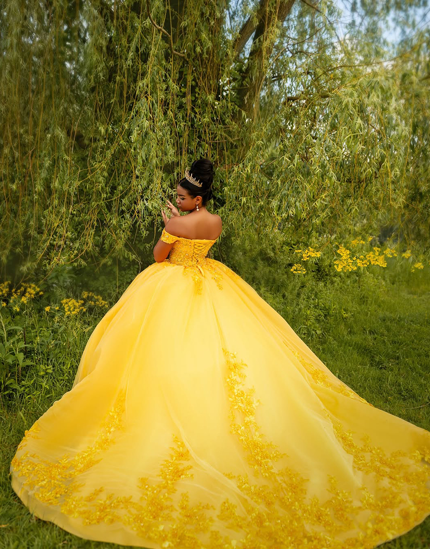 Princess Yellow Off the Shoulder Ball Gown Tulle Quinceanera Dress with Appliques