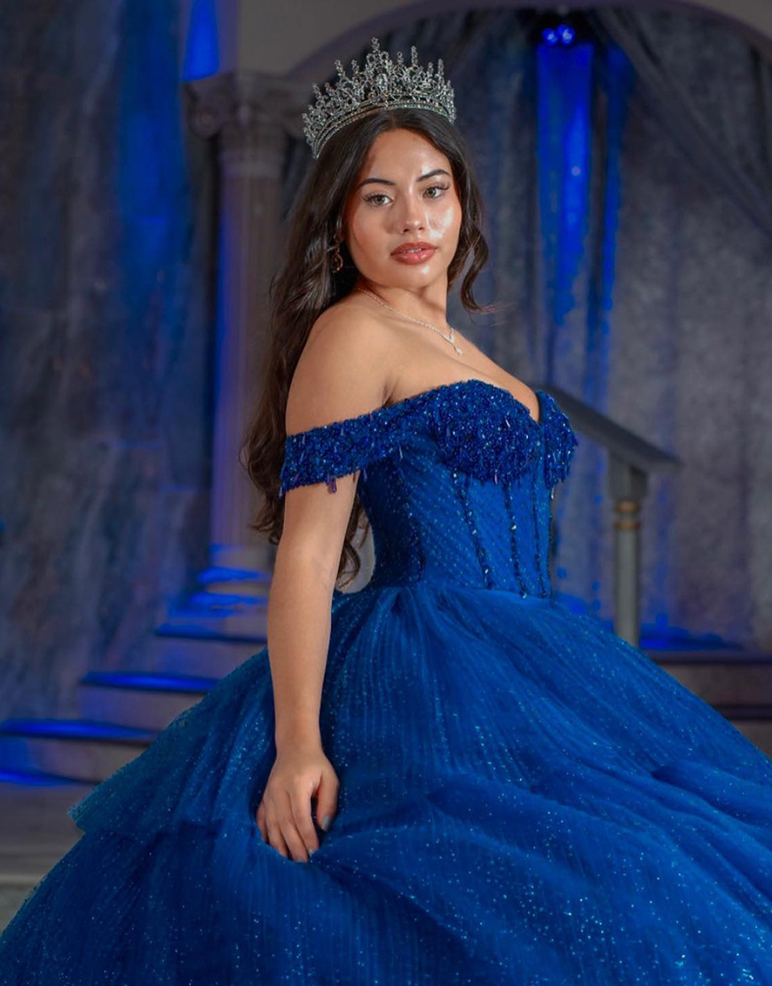 Sparkly Royal Blue Corset Tiered Tulle Princess Ball Gown Long Quinceanera Dress
