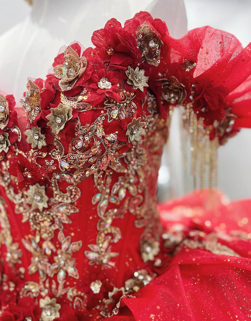 Sparkly Red Off the Shoulder Corset Beaded Ball Gown Floral Quinceanera Dress with Fringes