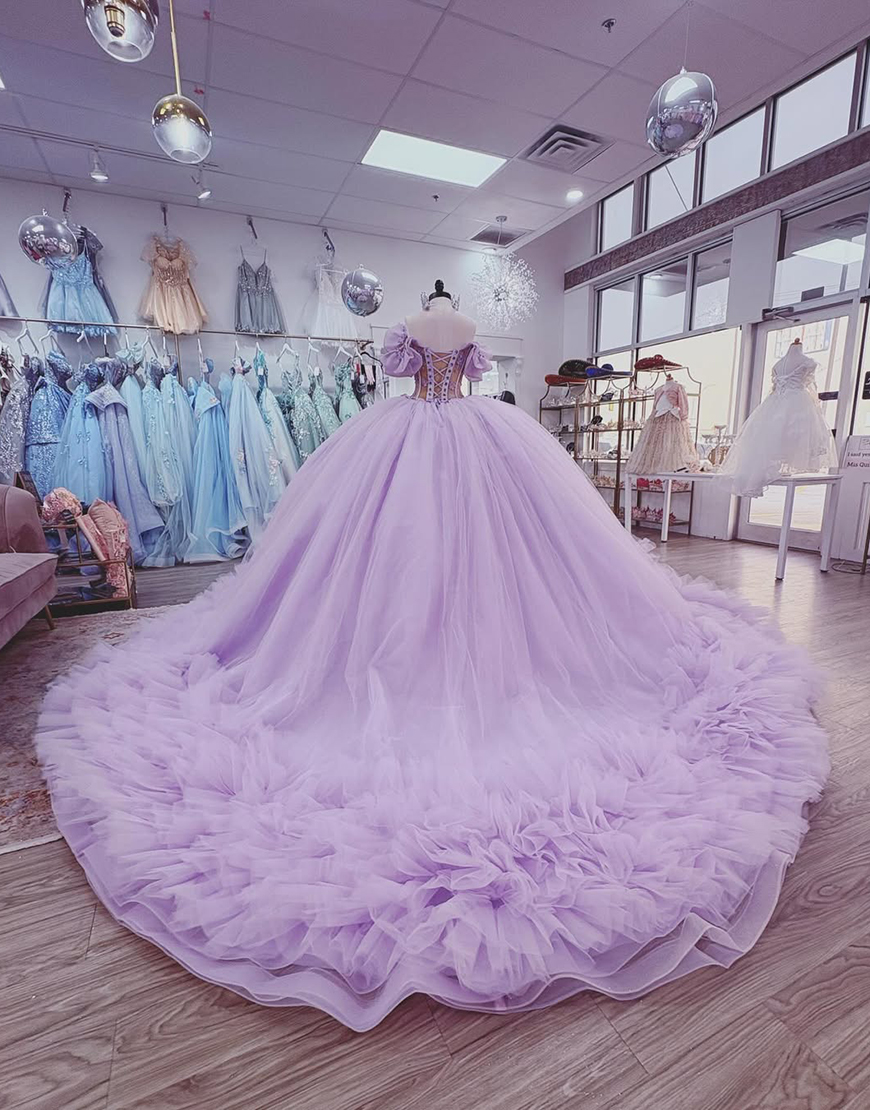 Sparkly Light Blue Corset Beaded Ball Gown Floral Long Quinceanera Dress with Ruffles