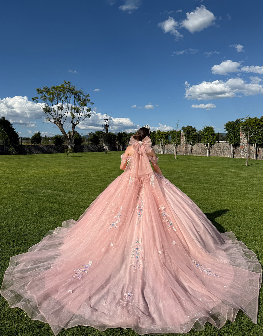Sparkly Blush Off the Shoulder Ball Gown Tulle Corset Floral Quinceanera Dress with Appliques