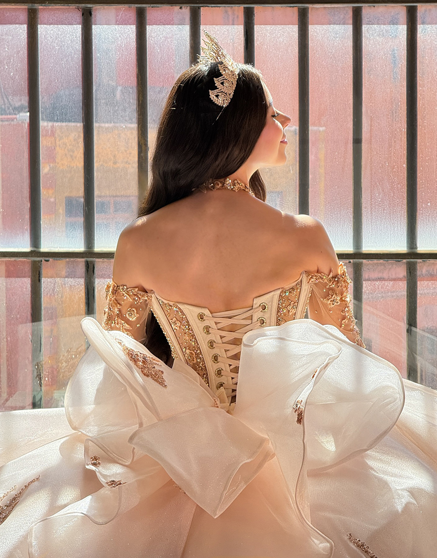 Sparkly Red Corset Organza Princess Ball Gown Long Quinceanera Dress with Beading