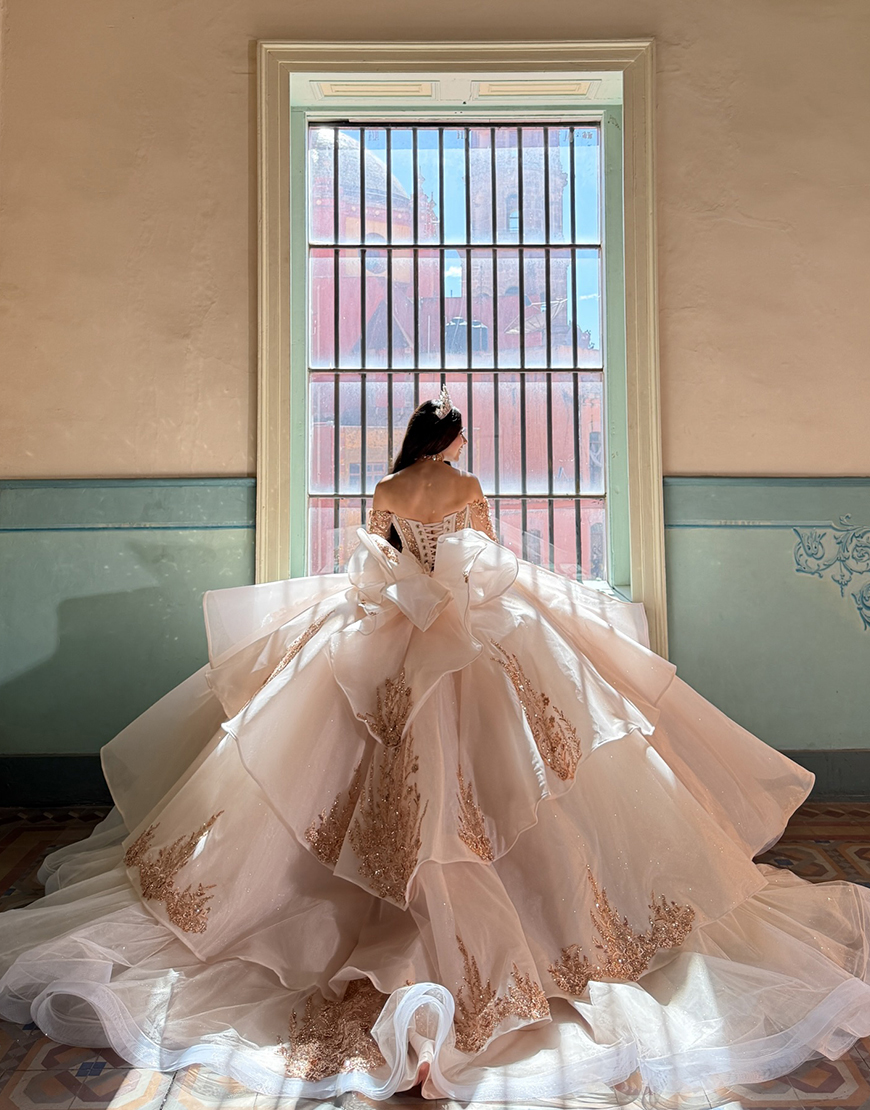 Sparkly Red Corset Organza Princess Ball Gown Long Quinceanera Dress with Beading