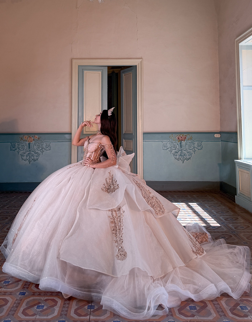 Sparkly Red Corset Organza Princess Ball Gown Long Quinceanera Dress with Beading