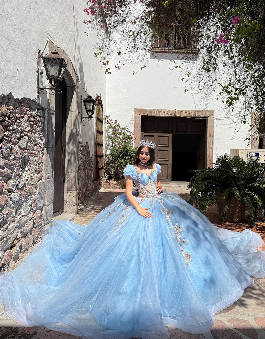 Sparkly Blue Corset Ball Gown Organza Beaded Long Quinceanera Dress with Sleeves
