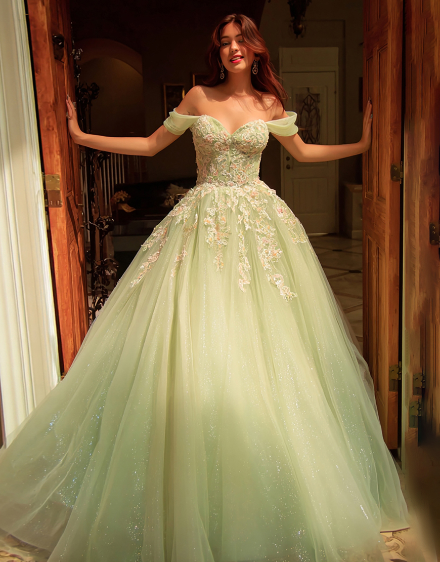 Sparkly Dusty Sage Tulle Off the Shoulder Ball Gown Long Quinceanera Dress with Lace