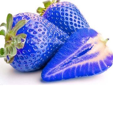 100pcs Blue Climbing Strawberry Seeds Tree Seed, Delicious Fruit Seeds for Home & Garden Bonsai Seeds Planting