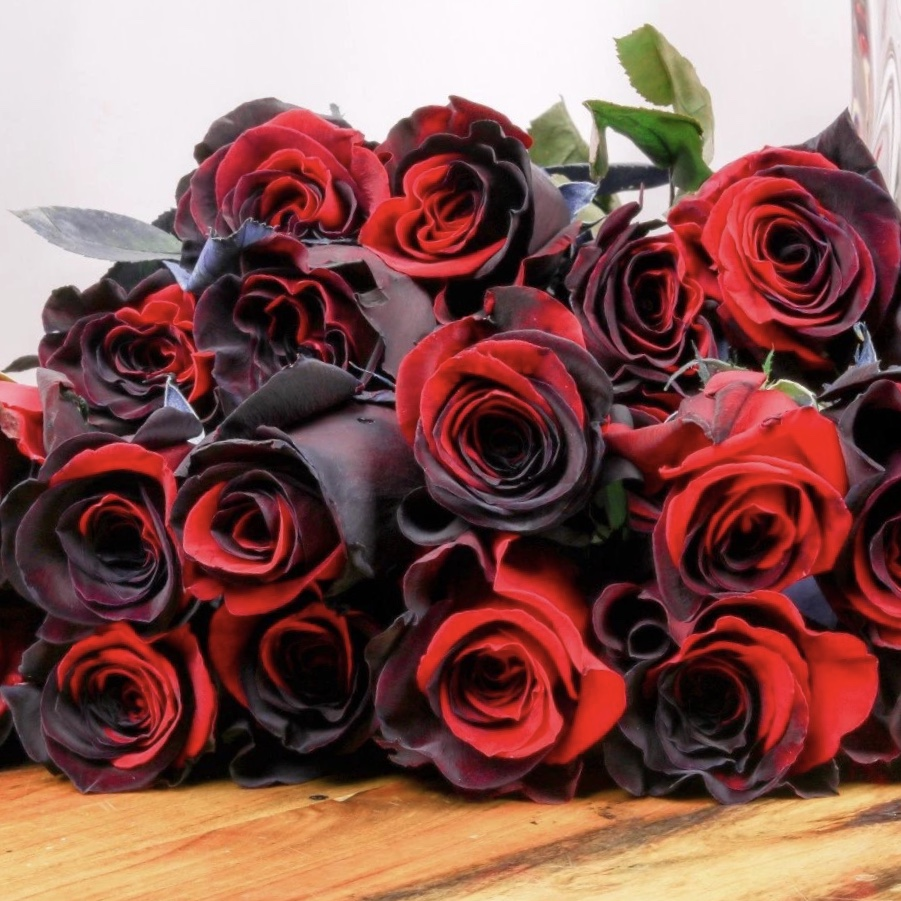 Carmen Rose - Twin Red Black Rose Seeds