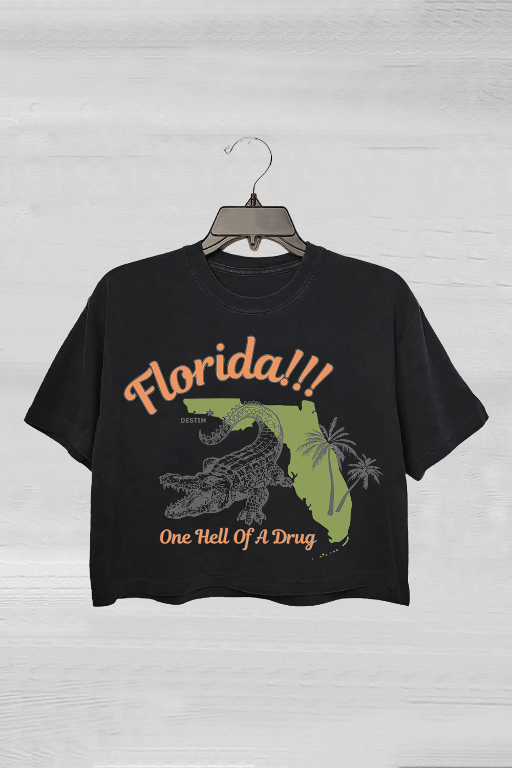 Florida!!! Taylor Swift Crop Tee For Women