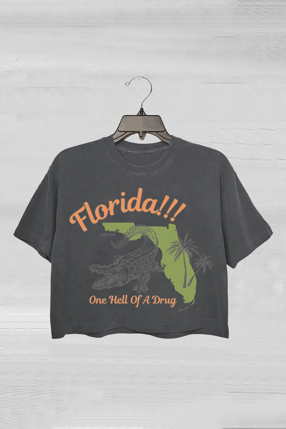 Florida!!! Taylor Swift Crop Tee For Women