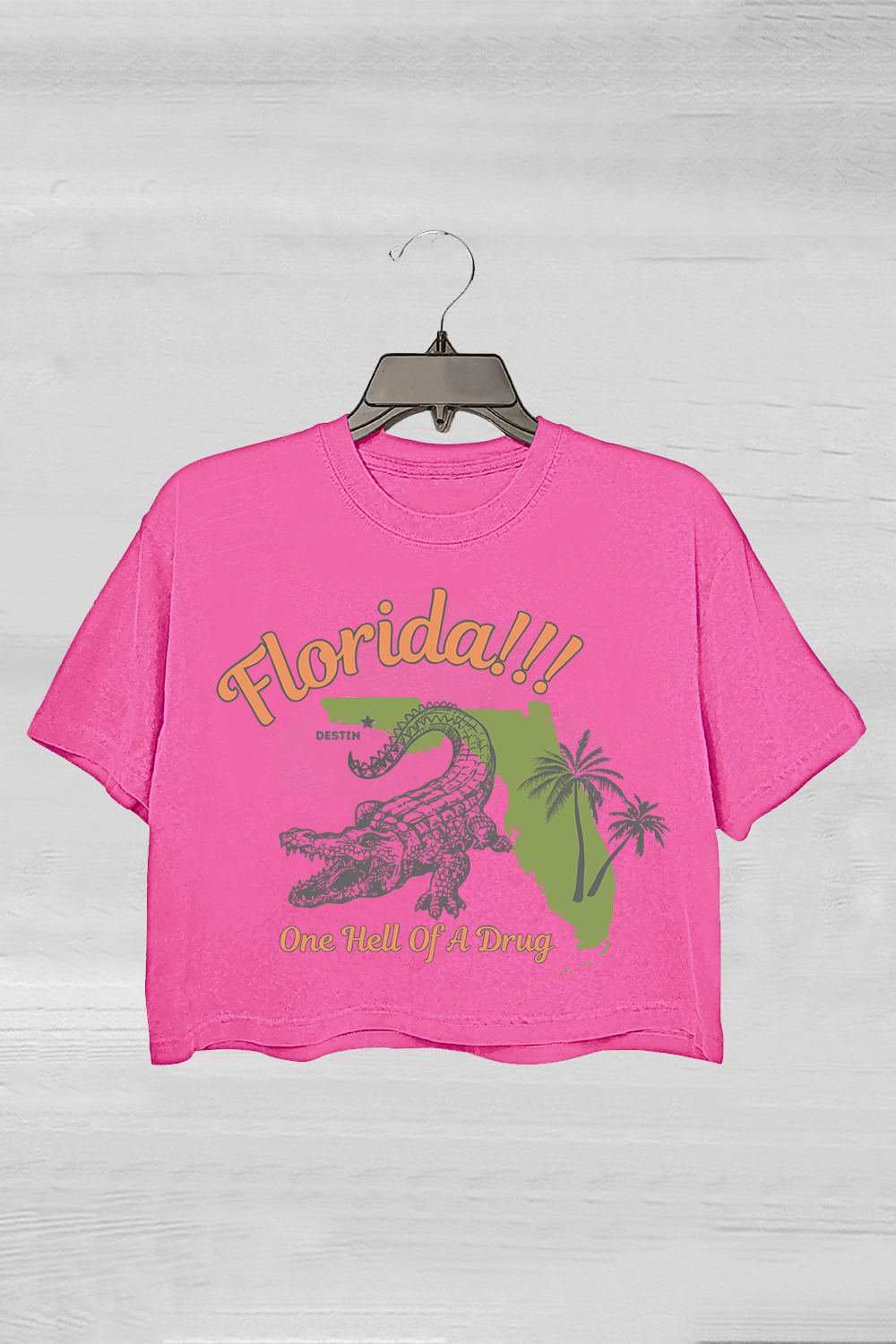 Florida!!! Taylor Swift Crop Tee For Women