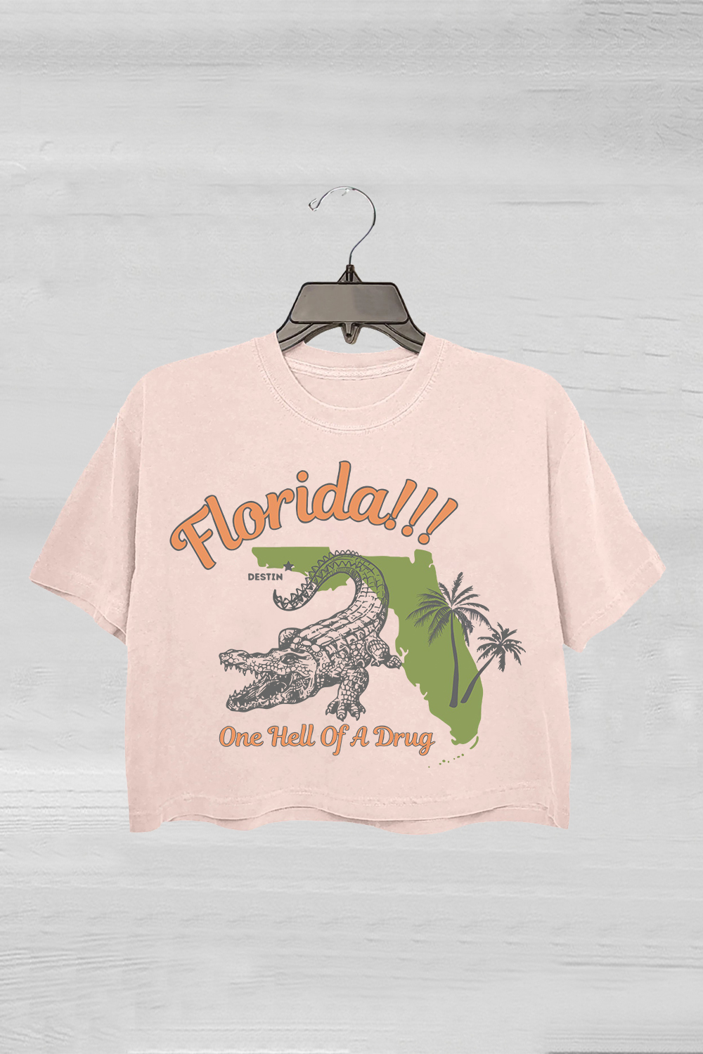 Florida!!! Taylor Swift Crop Tee For Women