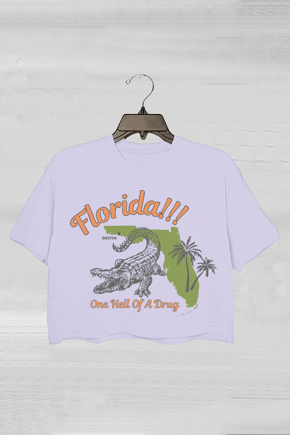 Florida!!! Taylor Swift Crop Tee For Women